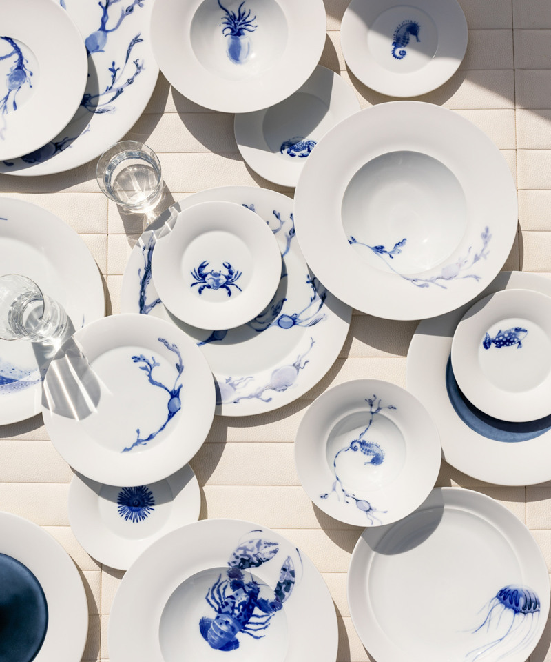 It was the first dinnerware to discover the beauty of the world’s oceans as inspiration for a décor and to capture it in biologi